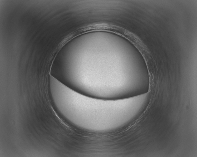 X0000084521225200702230829