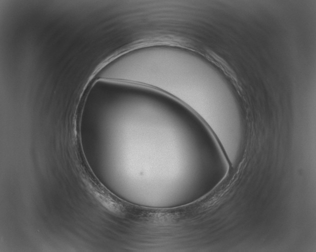X0000084521226200702230829