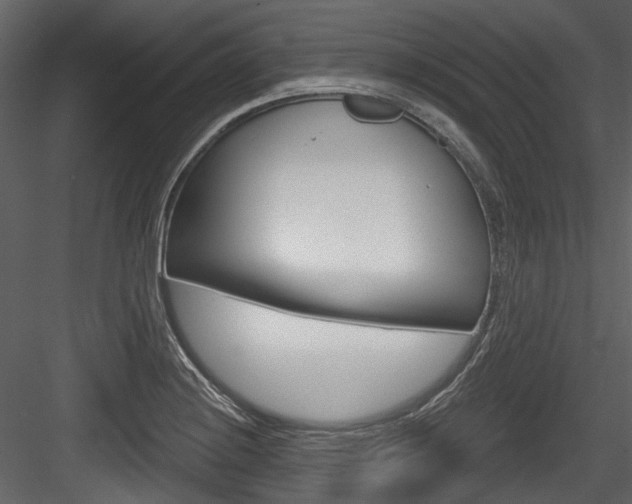 X0000084521228200702230829