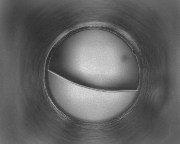 X0000084521229200702230829