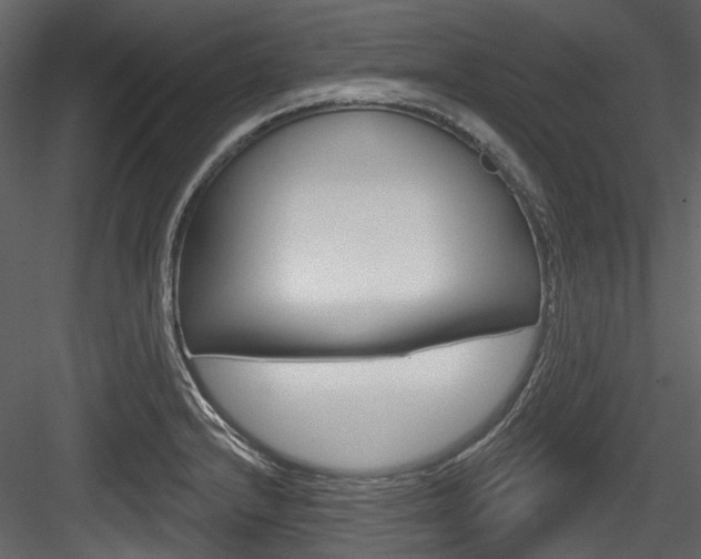X0000084521232200702230829