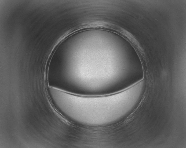 X0000084521234200702230829