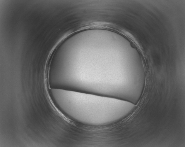 X0000084521235200702230829