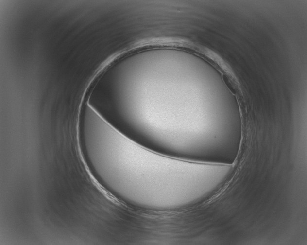 X0000084521237200702230829