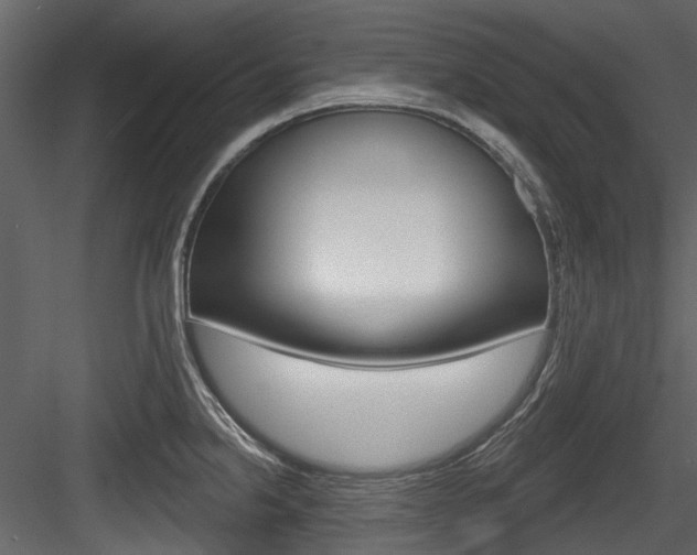 X0000084521238200702230829