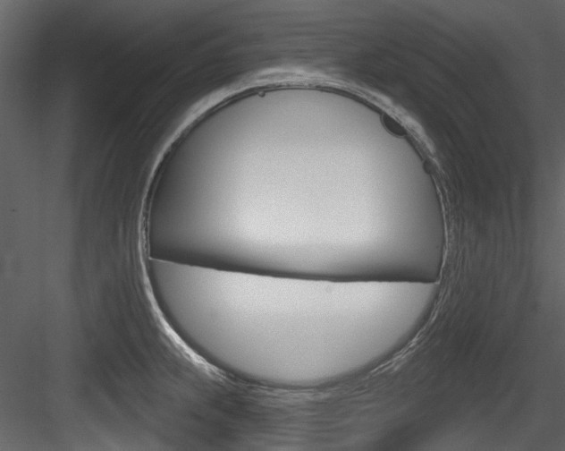 X0000084521239200702230829