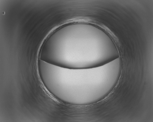 X0000084521240200702230829