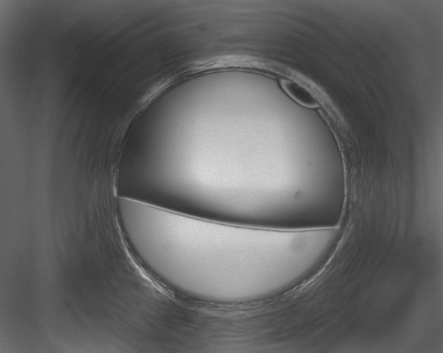 X0000084521241200702230829