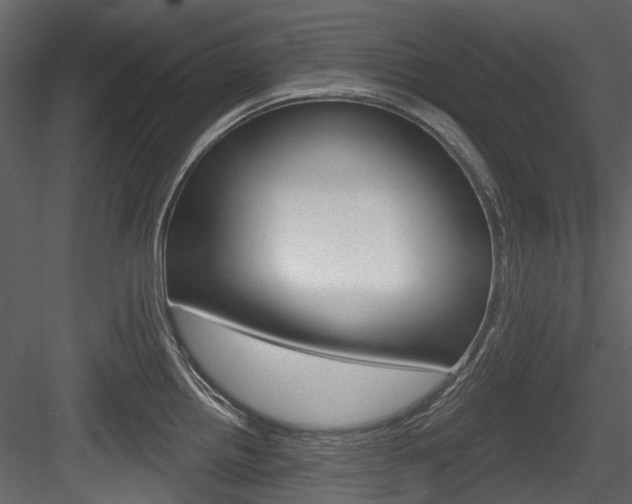 X0000084521242200702230829