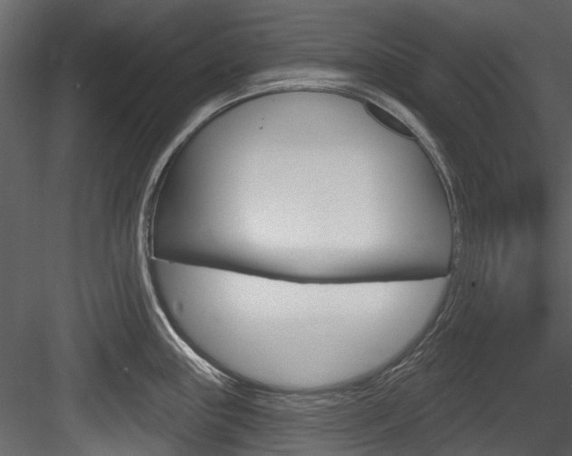 X0000084521243200702230829