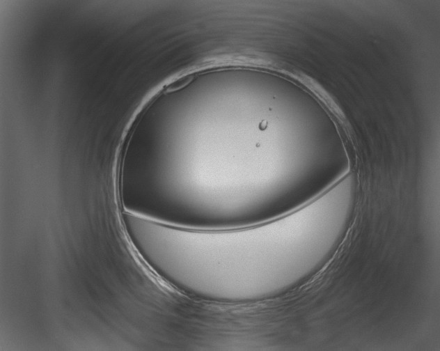 X0000084521246200702230829