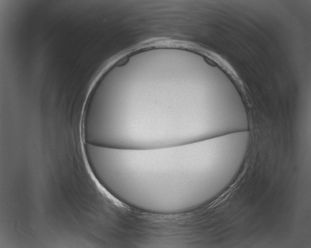 X0000084521247200702230829