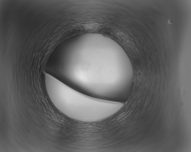X0000084521249200702230828