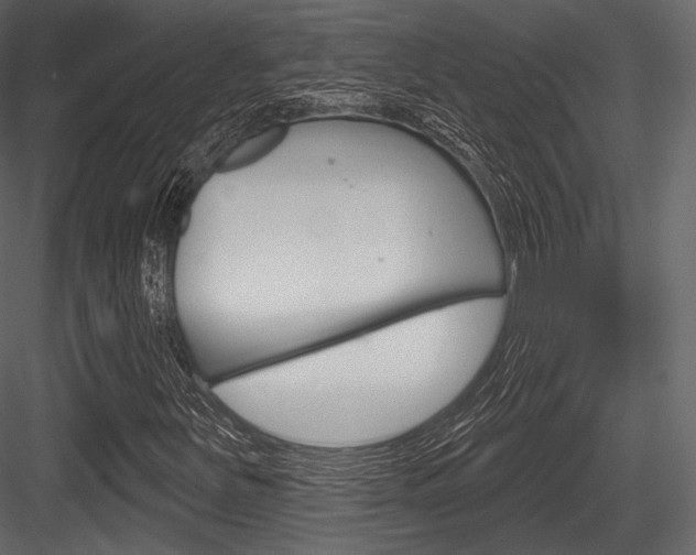 X0000084521251200702230828