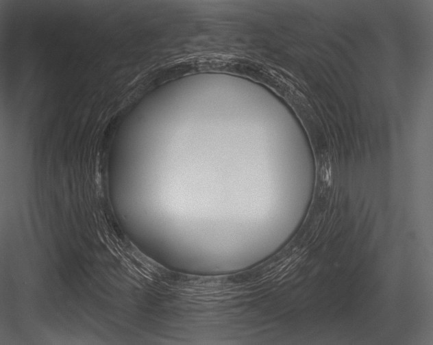 X0000084521252200702230828