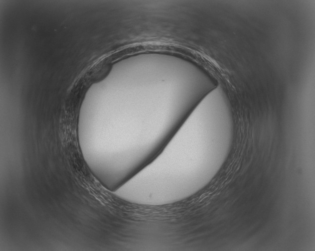 X0000084521255200702230828