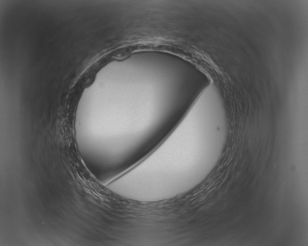 X0000084521256200702230828