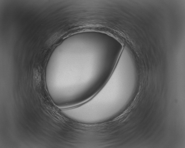 X0000084521257200702230828