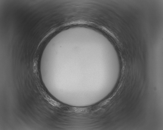 X0000084521258200702230828