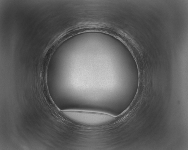 X0000084521261200702230828
