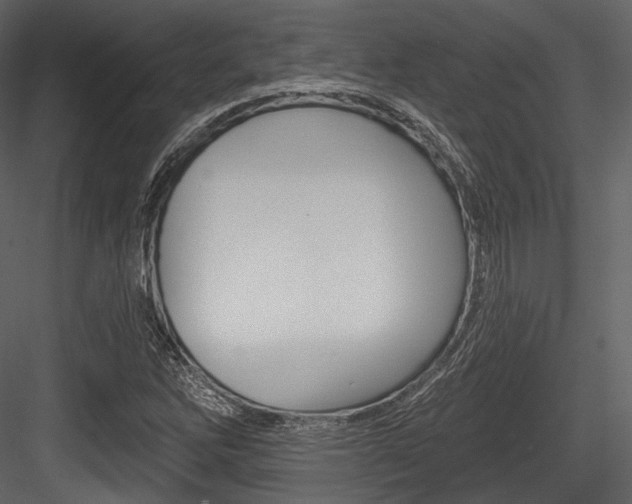 X0000084521262200702230828
