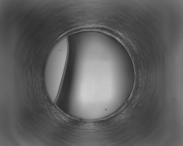 X0000084521265200702230828
