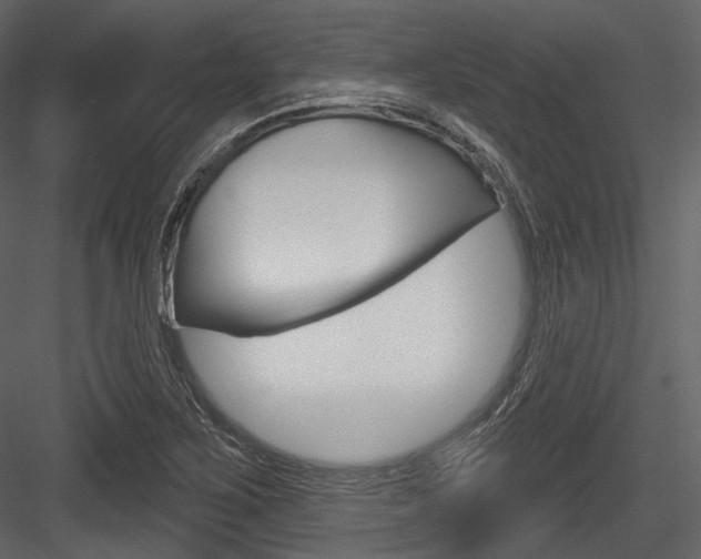 X0000084521267200702230828
