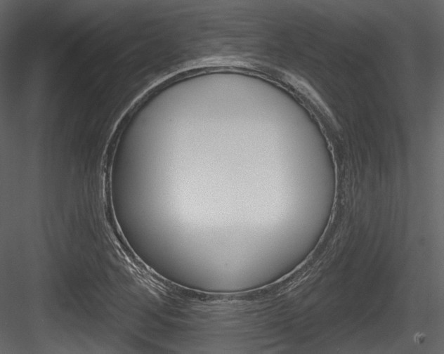 X0000084521268200702230828