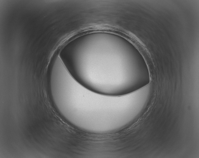 X0000084521269200702230828