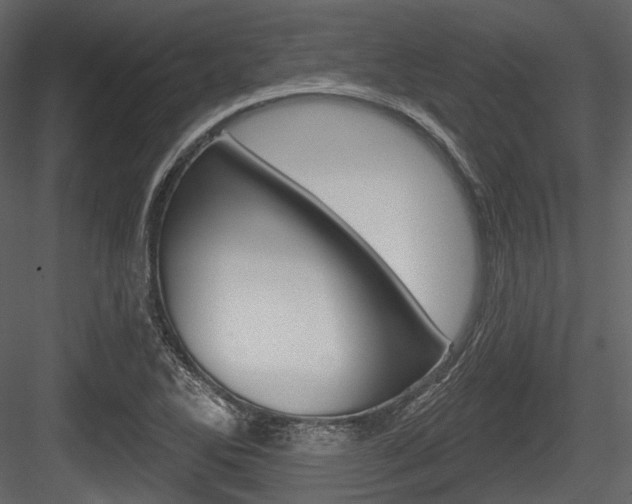 X0000084521270200702230828