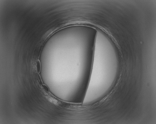 X0000084521273200702230828