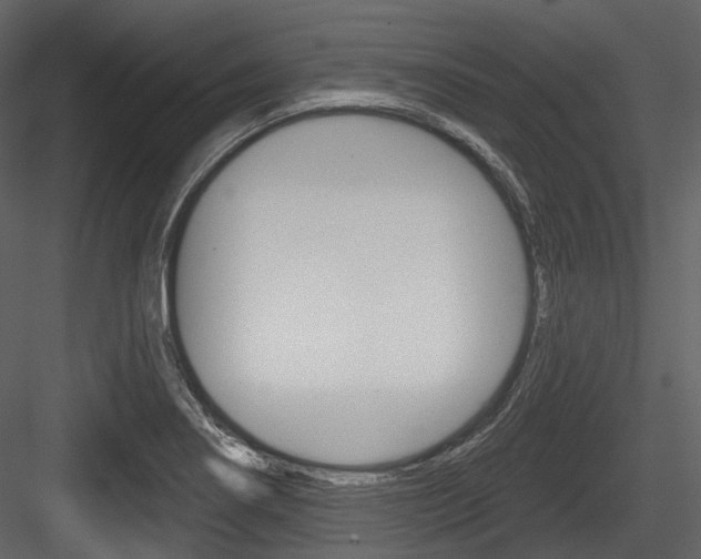 X0000084521274200702230828
