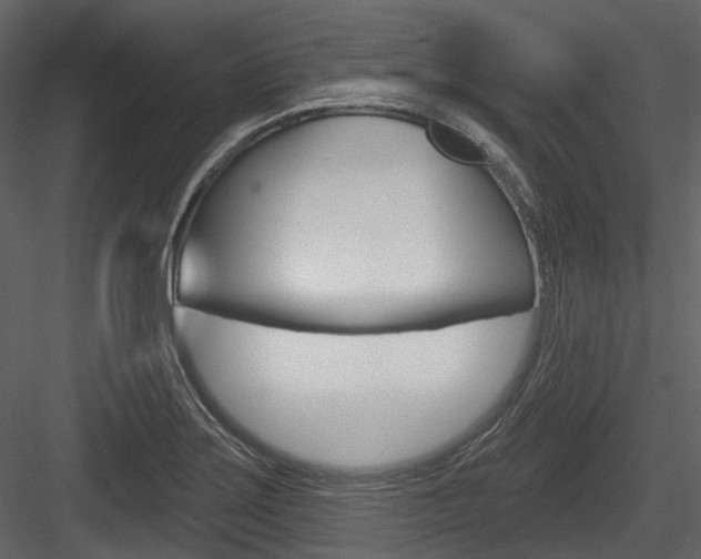 X0000084521275200702230828