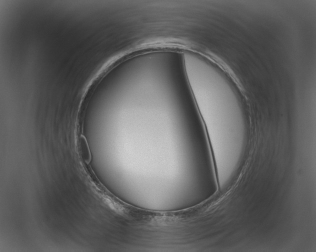 X0000084521277200702230828