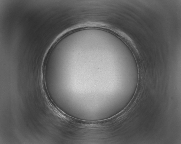 X0000084521280200702230828