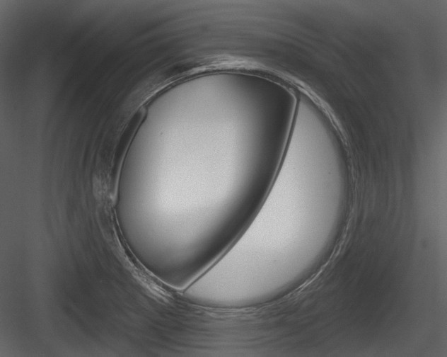 X0000084521281200702230828