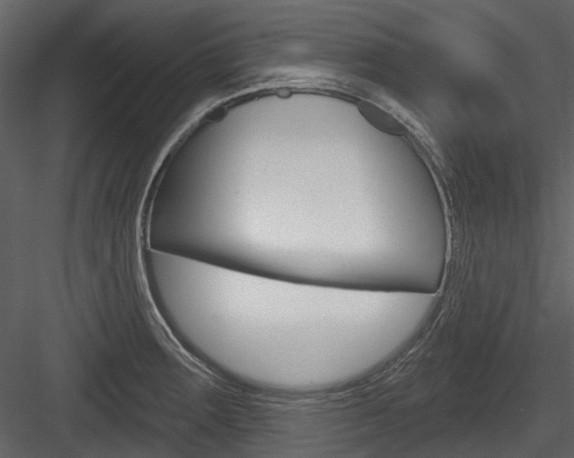 X0000084521283200702230828