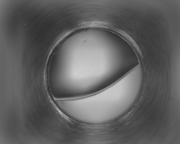 X0000084521285200702230828