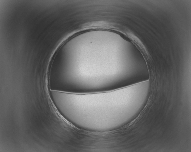 X0000084521288200702230828