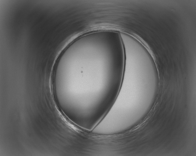 X0000084521293200702230828
