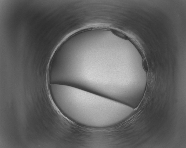 X0000084521295200702230828