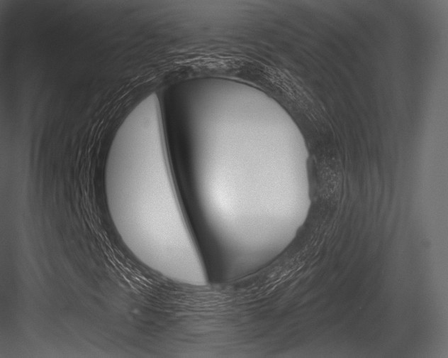X0000084521297200702230827
