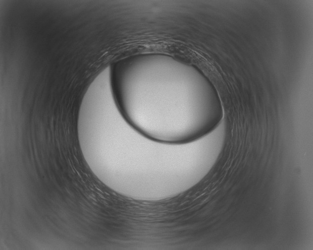 X0000084521298200702230827