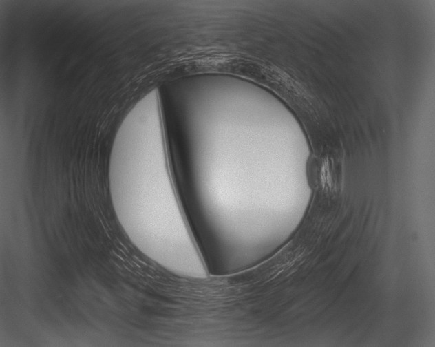 X0000084521299200702230827