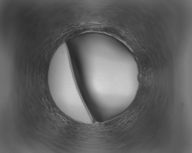 X0000084521301200702230827