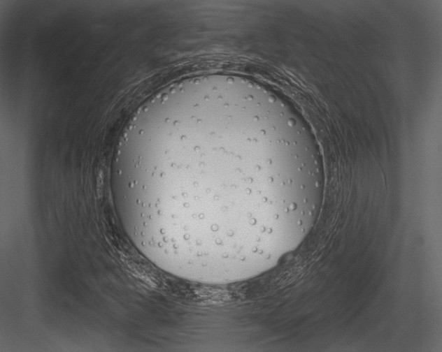 X0000084521302200702230827