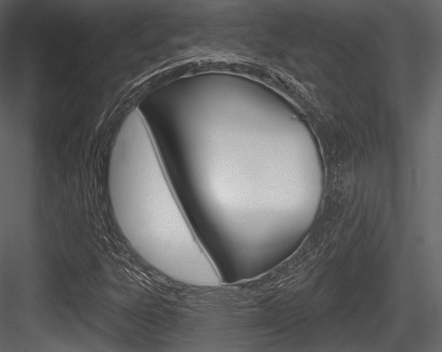 X0000084521303200702230827