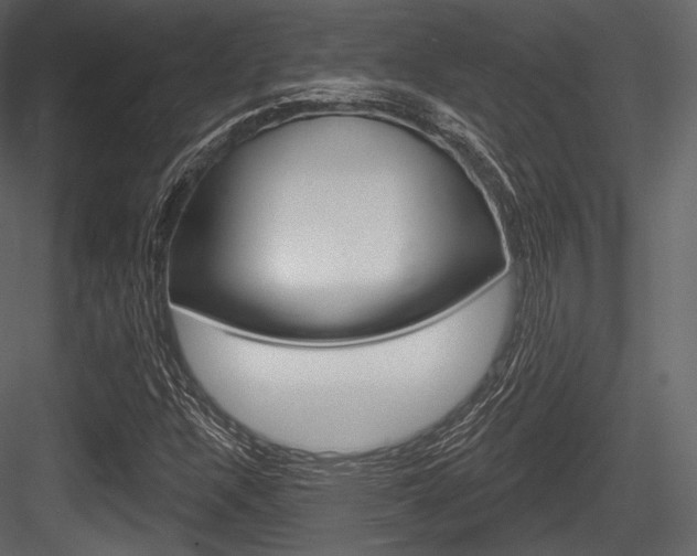 X0000084521304200702230827