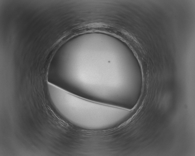 X0000084521305200702230827