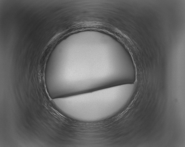 X0000084521306200702230827